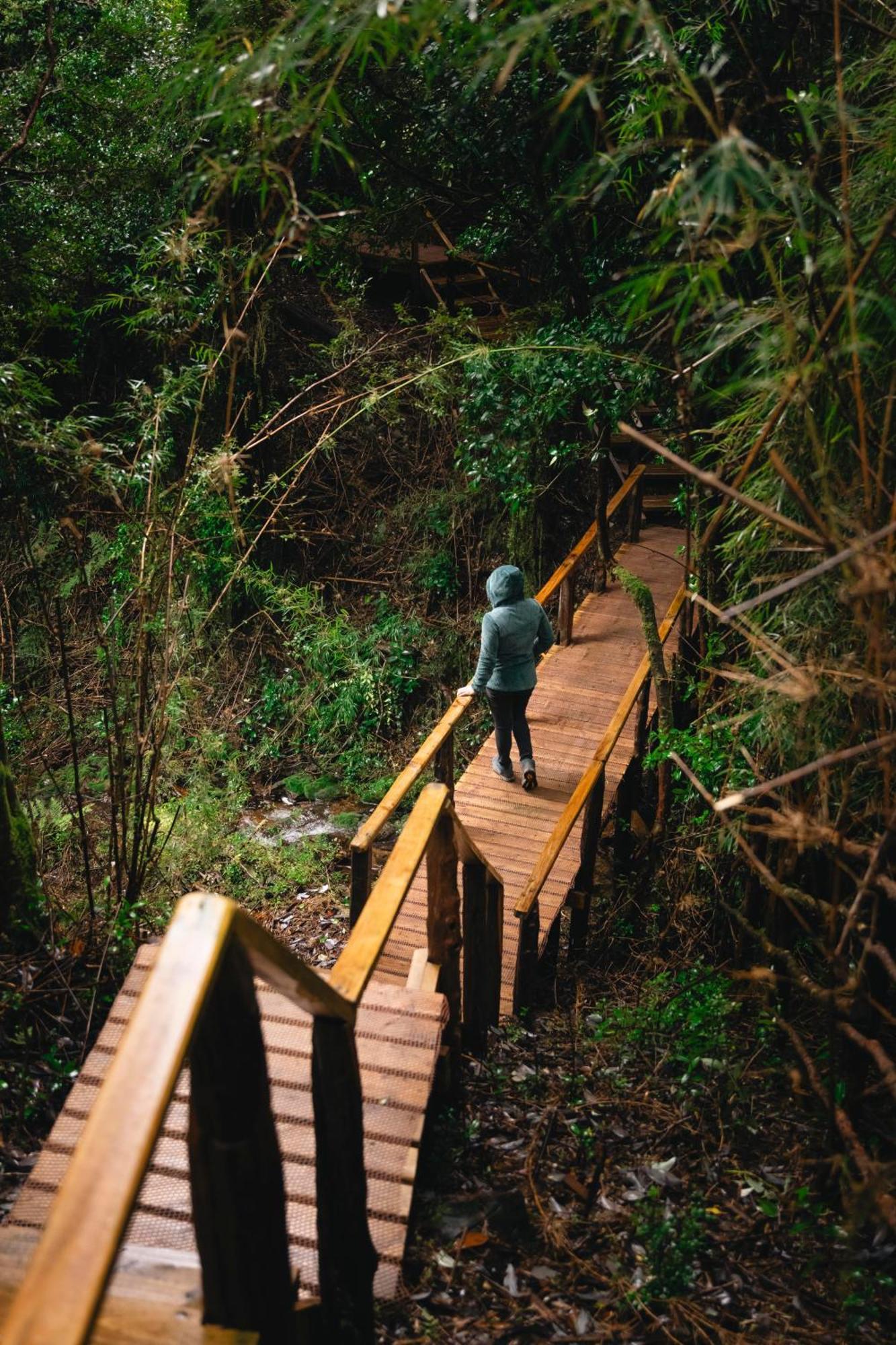 Puente Palos San Pedro 카스트로 외부 사진